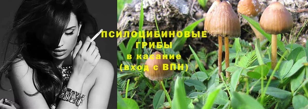твердый Алексин