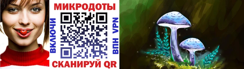Псилоцибиновые грибы Cubensis  Купить закладки  Суворов 